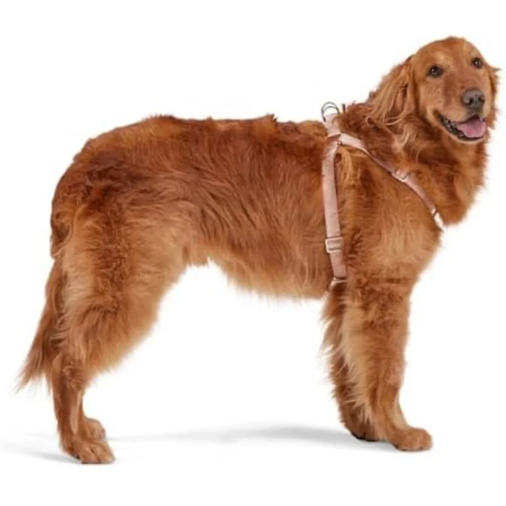 REDDY JACQUARD DOG HARNESS PINK LARGE